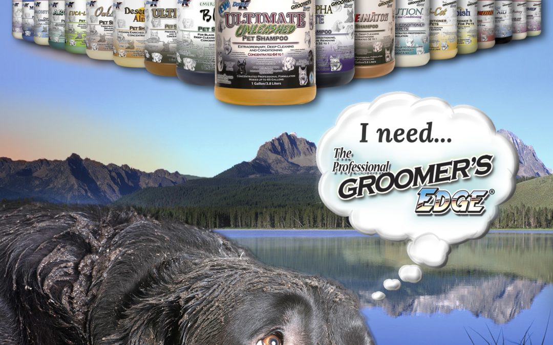 Minimalist Messaging