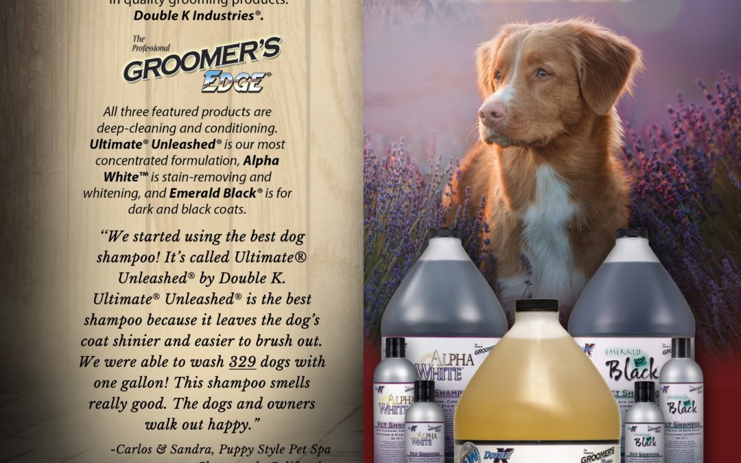 Testimonial Message to Vignette Balance